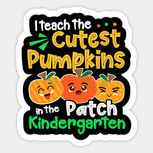 I Teach The Cutest Pumpkins In The Patch Kindergarten Sticker